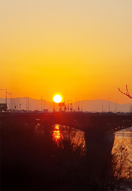 이미순 님 사진