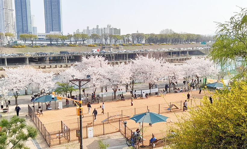 반려견 함께 쉼터