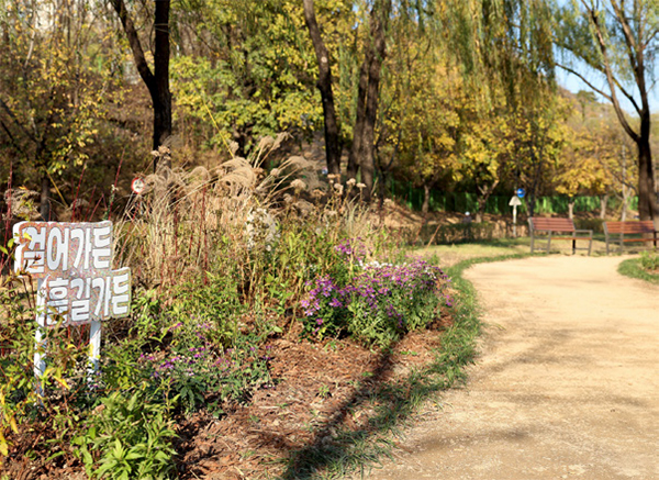 한강시그니처정원 맨발 산책로