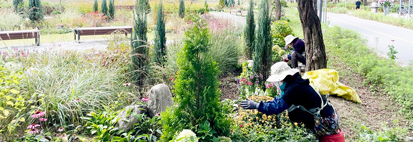 마을정원사 활동