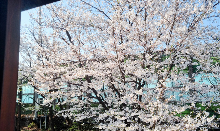 최선도 님 사진