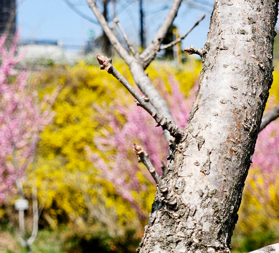 김자현 님 사진