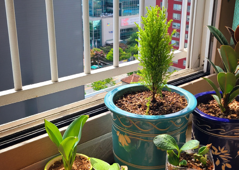 방영환 님 사진