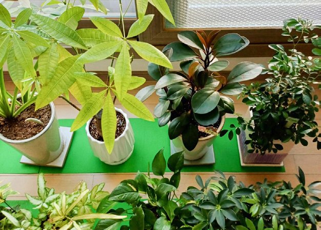 이하영 님 사진