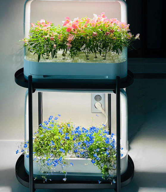 이수연 님 사진