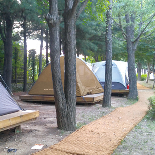 서울숲 여름캠핑장