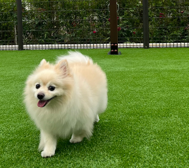 이민영 님 사진