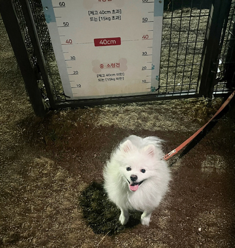 김미미 님 사진