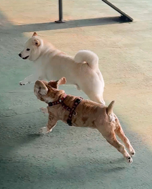 백영지 님 사진