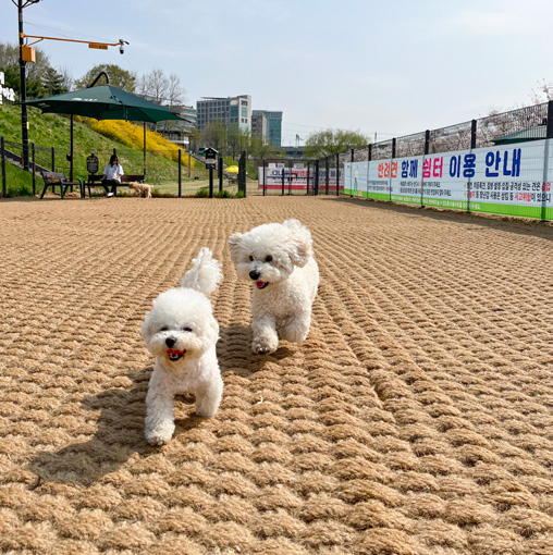 조수지 님 사진
