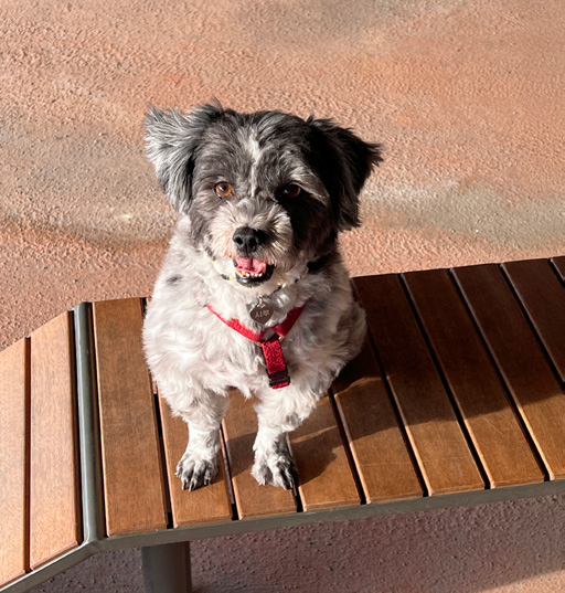 유수민 님 사진