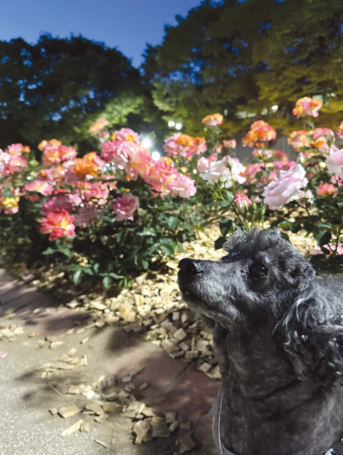 오은주 님 사진