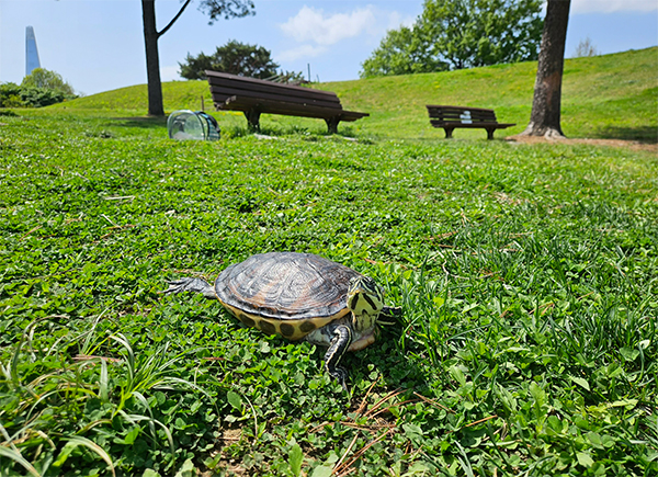 김지언 님 사진