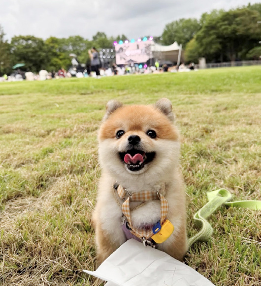 안혜지 님 사진