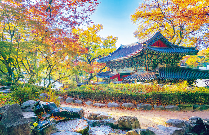 가을이 흐르다 _ 박은기