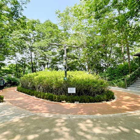 응봉근린공원 대현산 황톳길