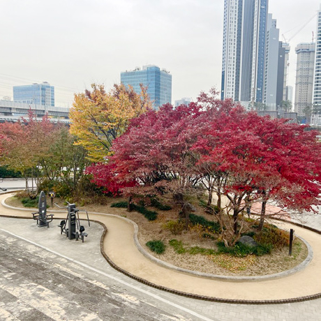 중랑천 맨발흙길