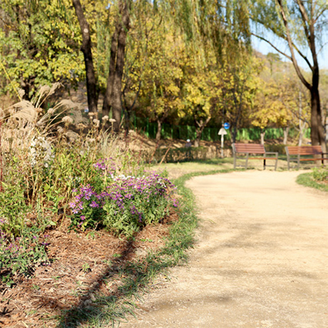 한강 시그니처 정원 맨발 산책로