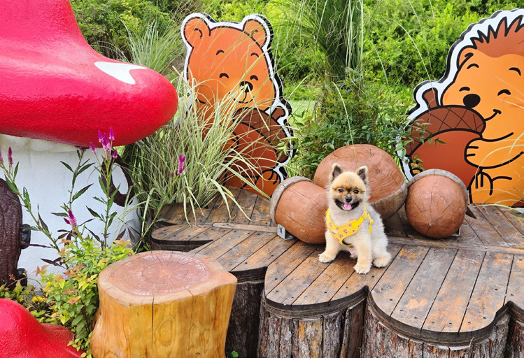 안희선 님 사진