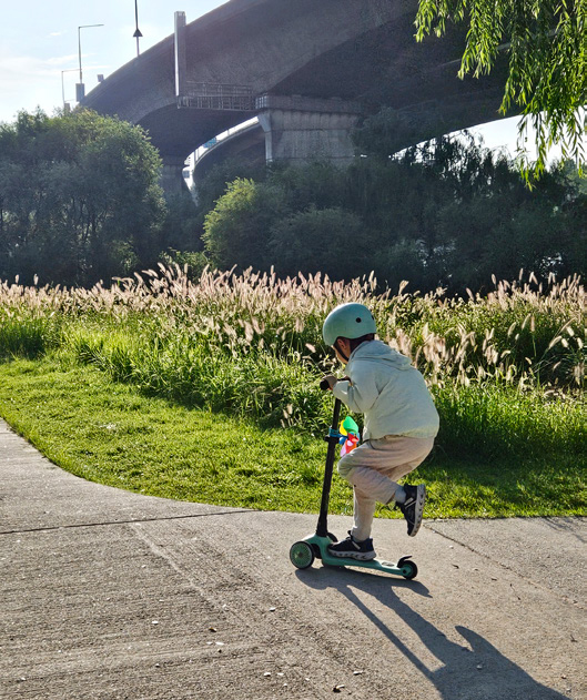 이보인 님 사진
