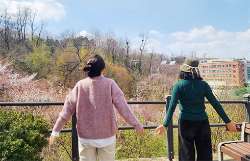 매봉산 치유의 숲길