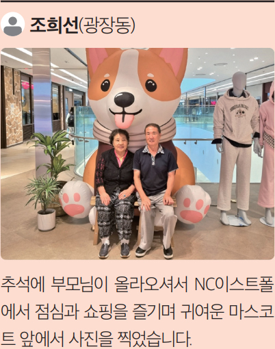 조희선 님 사진