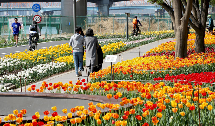 중랑천·한강변 꽃길