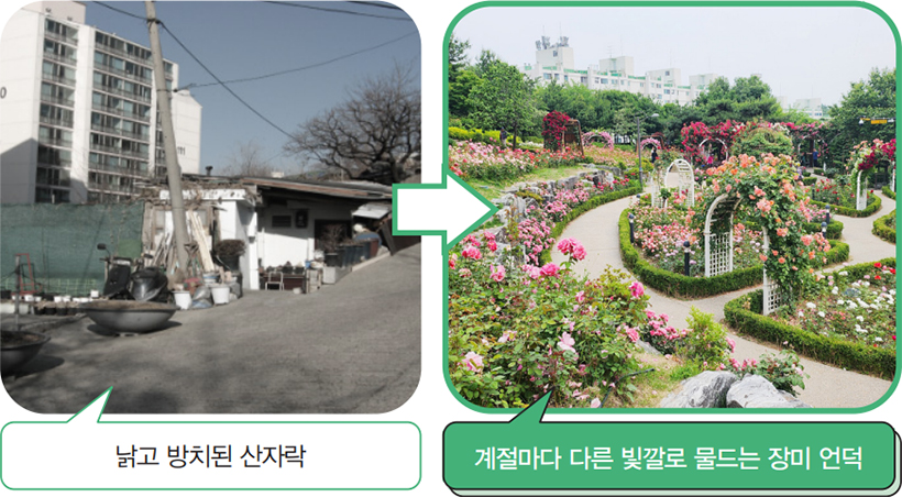 낡고 방치된 산자락 → 계절마다 다른 빛깔로 물드는 장미 언덕