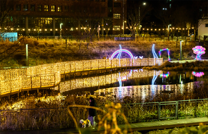 2025 양천 비체나라 페스티벌