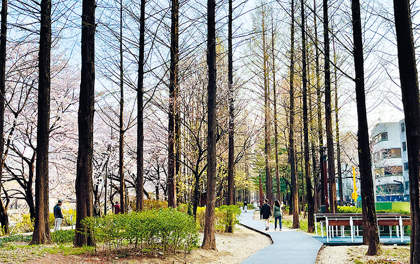양재천 살롱 드 가든 & 하벨 벤치