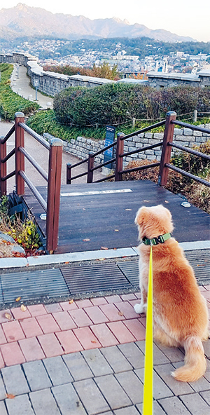 정용석 님 사진