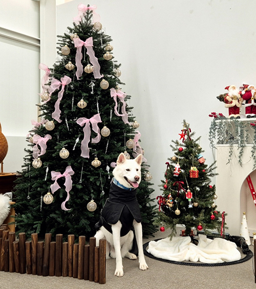 김혜주 님 사진