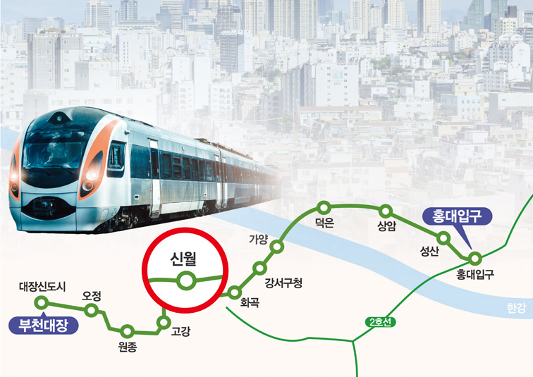 대장홍대선 노선도