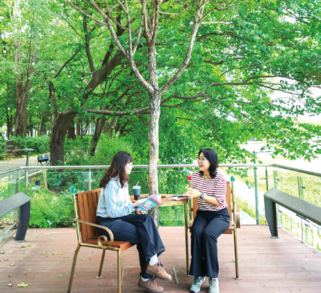 양재천 하벨벤치