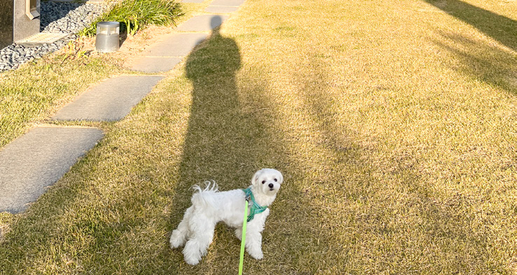 이현동 님 사진