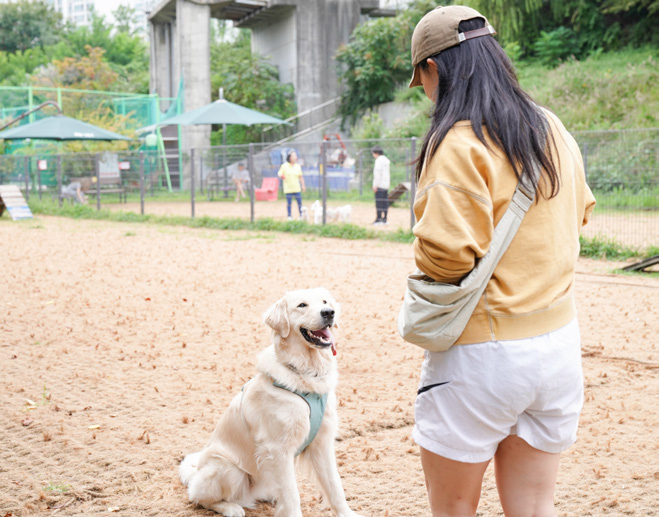 반려견 함께쉼터