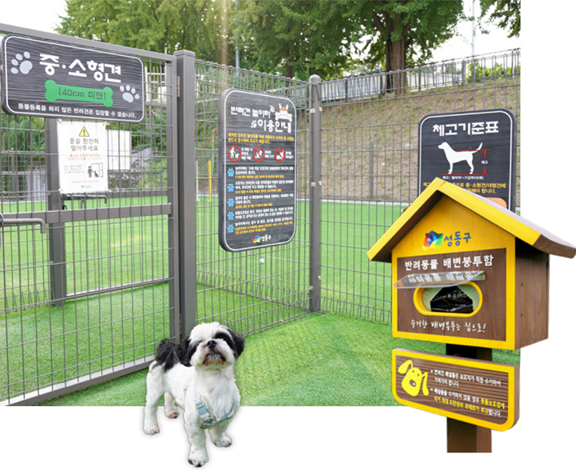 용답 반려견 놀이터