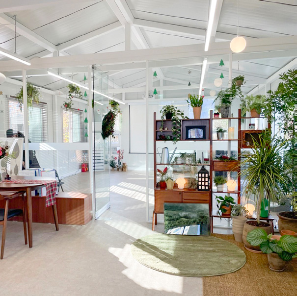 반려식물 클리닉