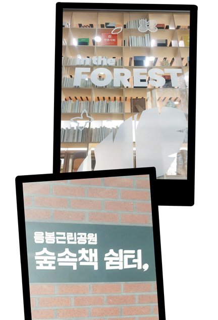 황미숙 님 사진