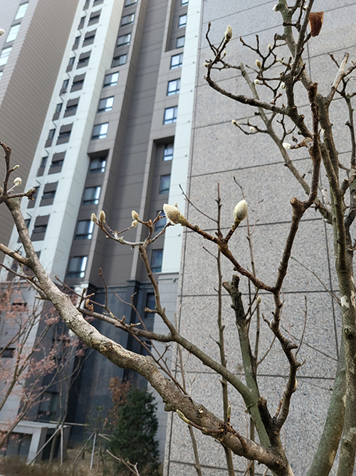 오선옥 님 사진