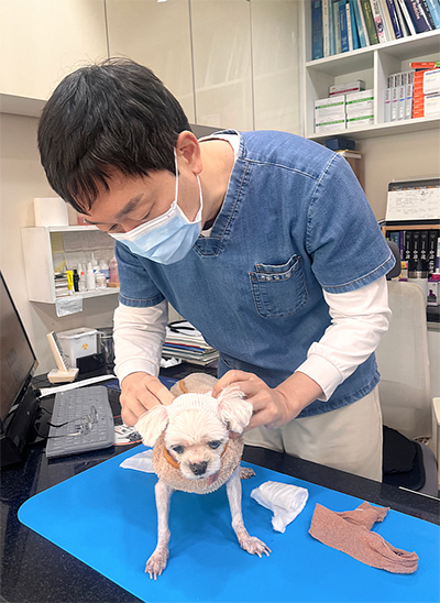 우리동네 동물병원