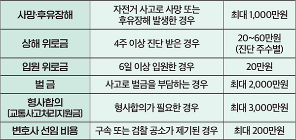 양천구민 자전거보험 안내