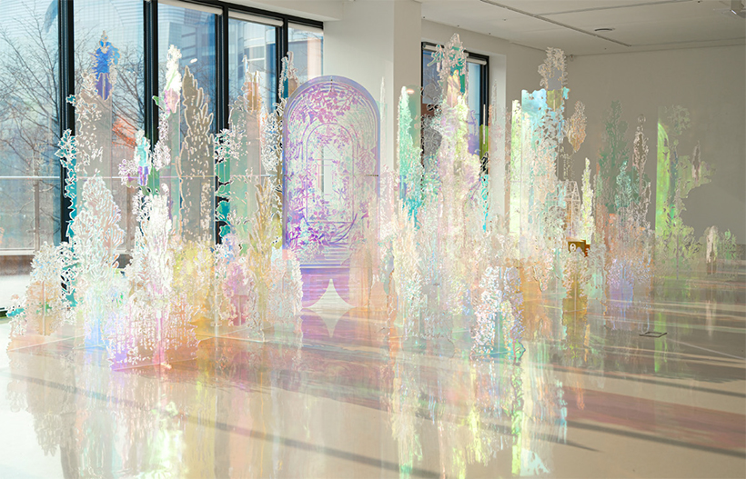 홍범 기억의 잡초