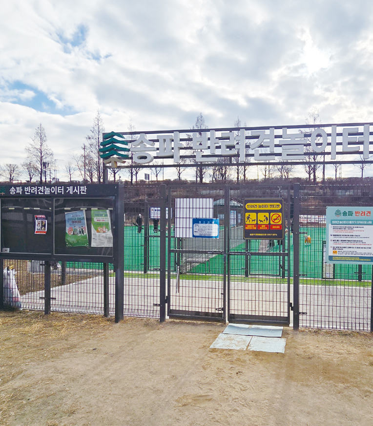 송파반려견놀이터