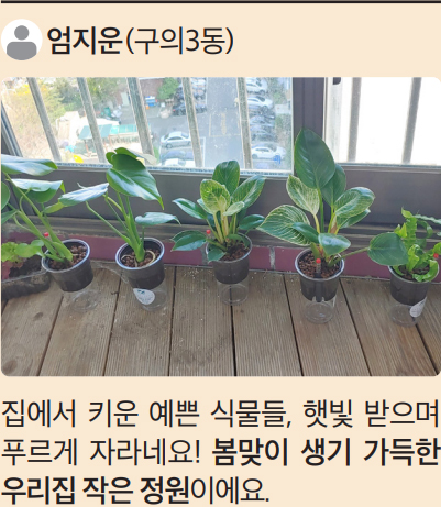 엄지운 (구의3동)