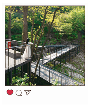 임미선 님의 남산자락숲길 콘텐츠