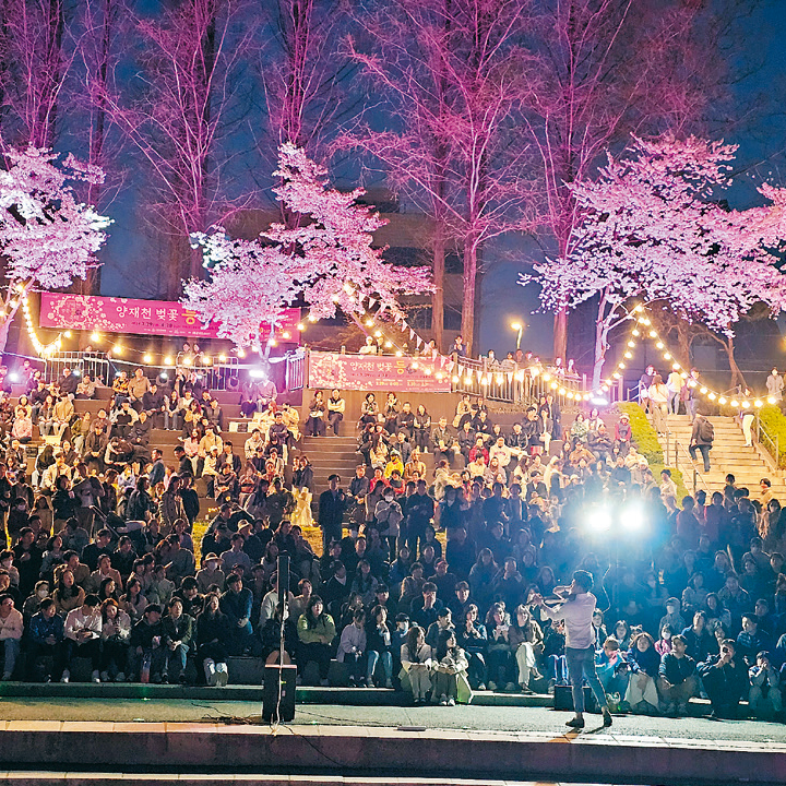양재천 벚꽃등 축제