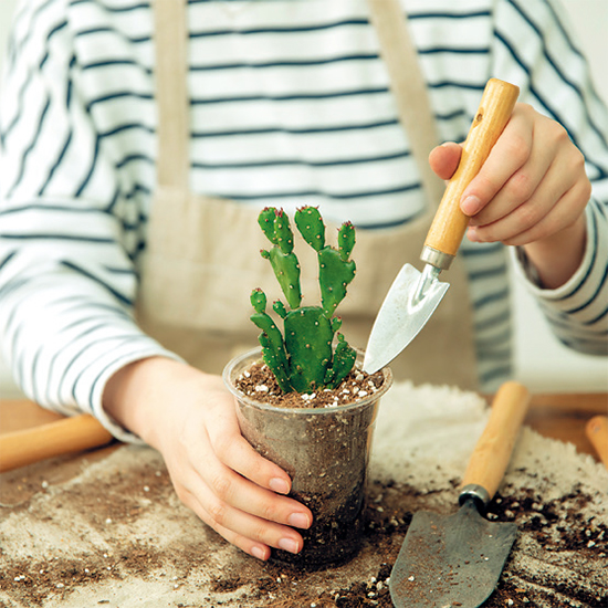 무료 탄소제로 클래스