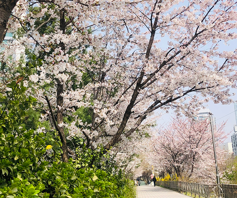 반포천 허밍웨이