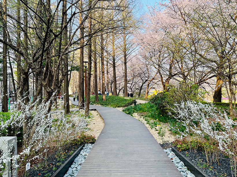 양재천살롱드가든